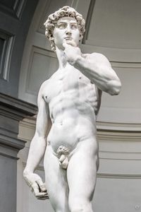 Bild 2: David von Michelangelo Buonarroti Teilansicht, frontal